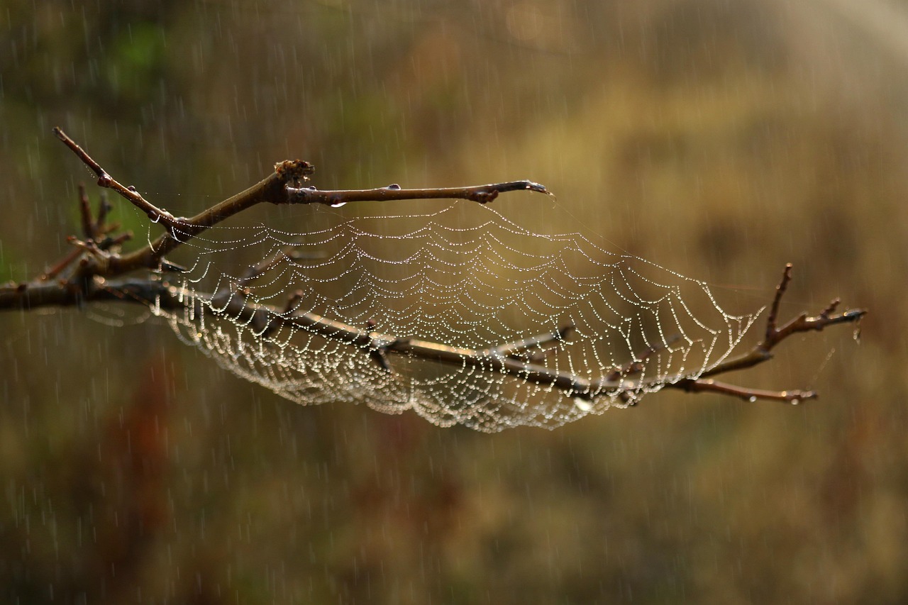 Crawl Budget: 9 Critical Facts You Must Understand