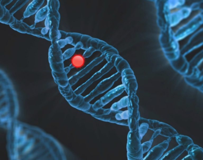 AI Advertising Optimization: Enhancing 2025 Gene Editing for Megabase Inversion in Human Cells