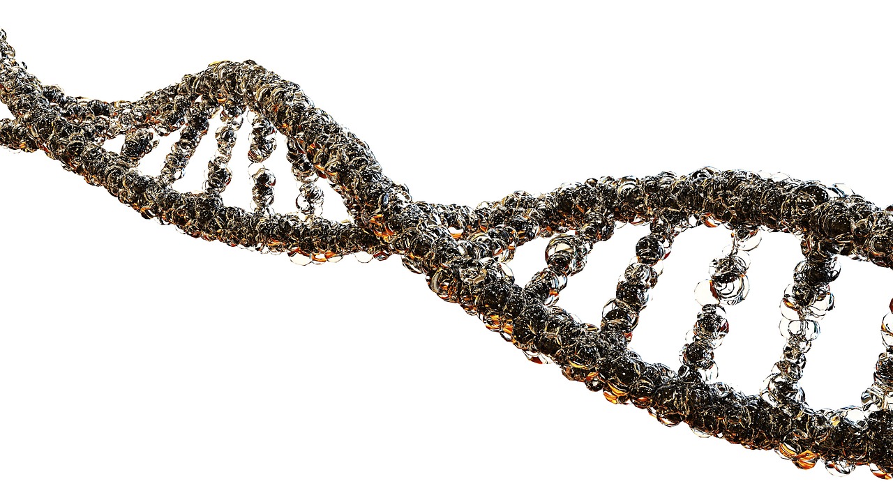 AI Optimization in 2027: Gate Gene Editing and Molecular Recombinase Strategies