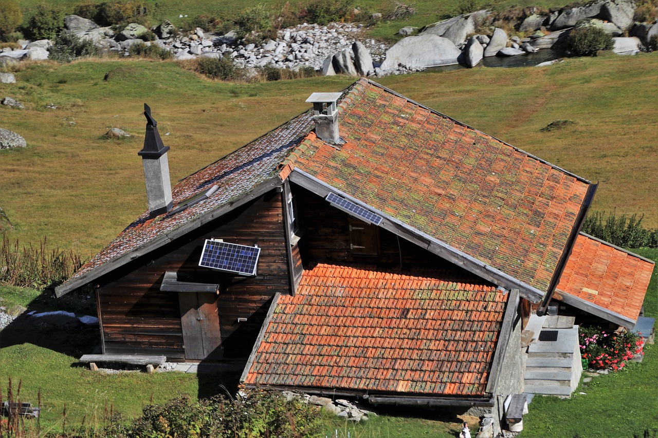 Eine Analyse der Einführungsraten erneuerbarer Energien in Entwicklungsländern