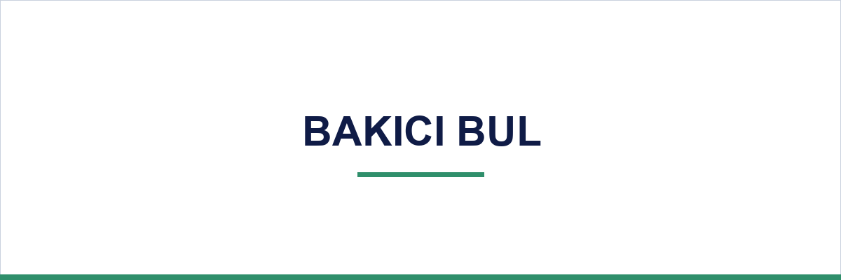 Bakıcı Bul overview illustration