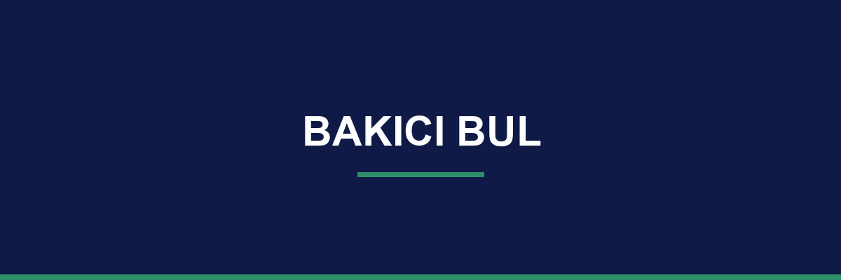Bakıcı Bul process and workflow illustration