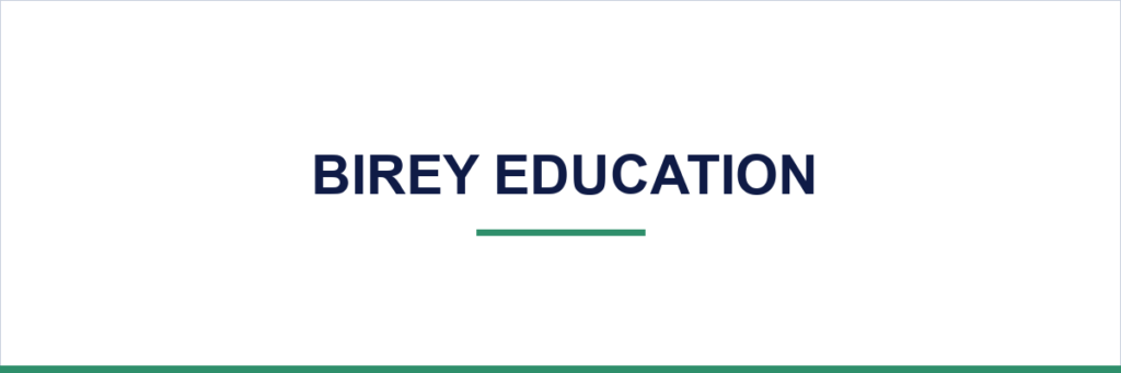 Birey Education — growth overview