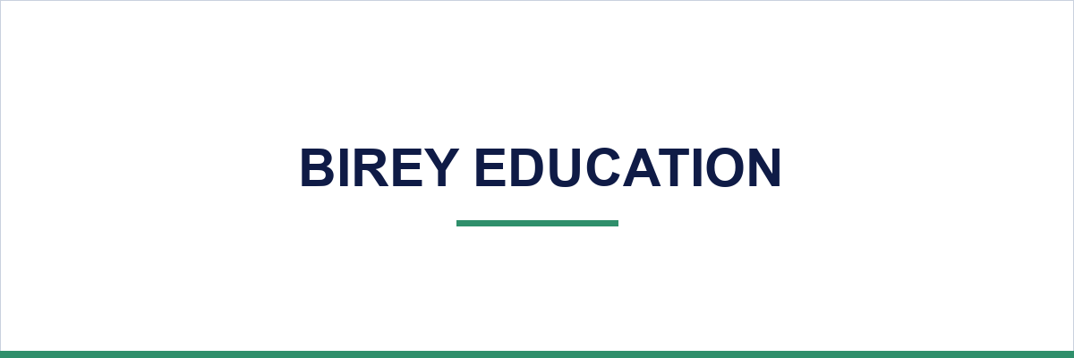 Birey Education overview illustration
