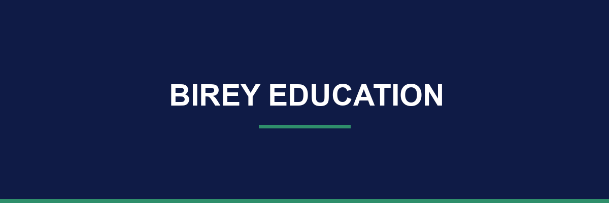 Birey Education process and workflow illustration