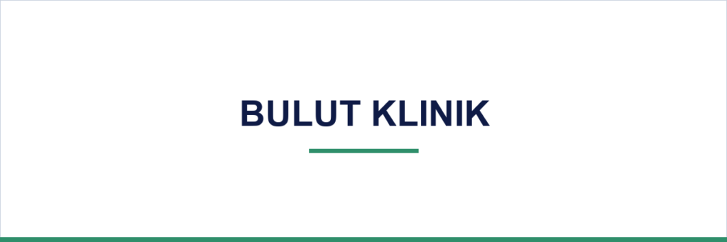 Bulut Klinik — growth overview