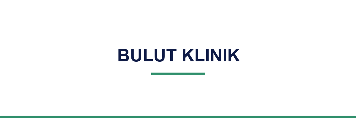 Bulut Klinik overview illustration