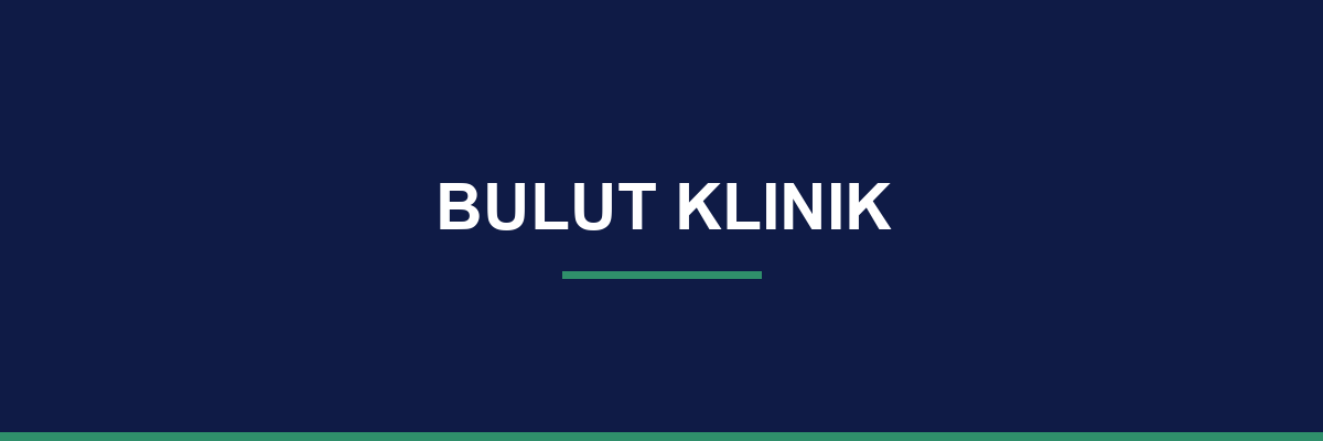 Bulut Klinik process and workflow illustration