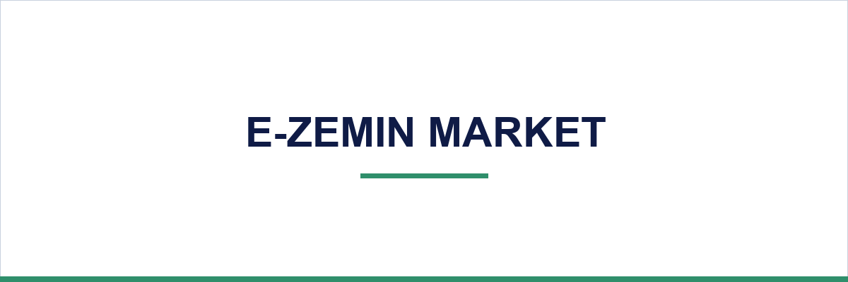 E-Zemin Market overview illustration
