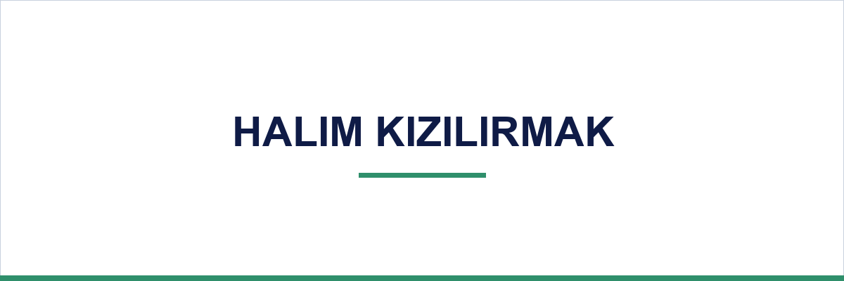 Halim Kızılırmak overview illustration