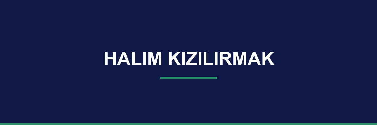 Halim Kızılırmak process and workflow illustration