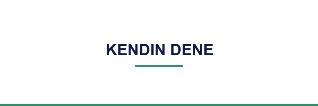 Kendin Dene — growth overview