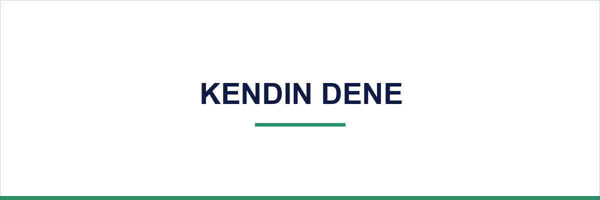 Kendin Dene overview illustration
