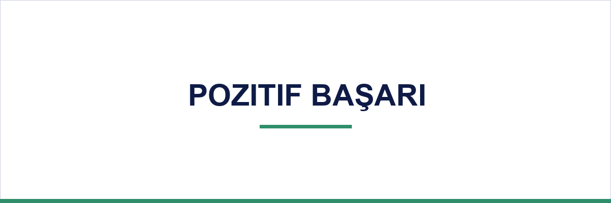 Pozitif Başarı overview illustration