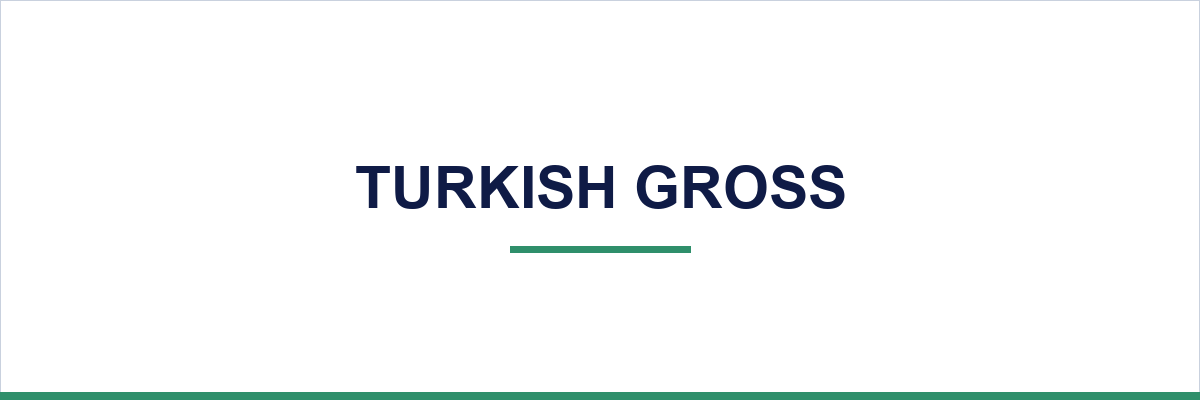 Turkish Gross overview illustration