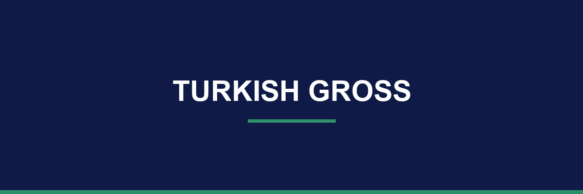 Turkish Gross process and workflow illustration