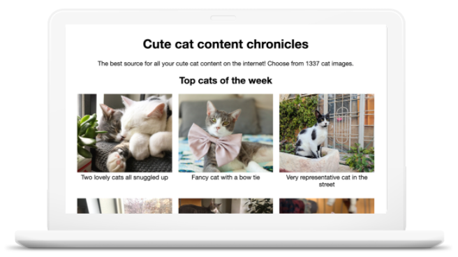 A website that shows 6 different images of cats. The title of the website is Cute cat content chronicles.