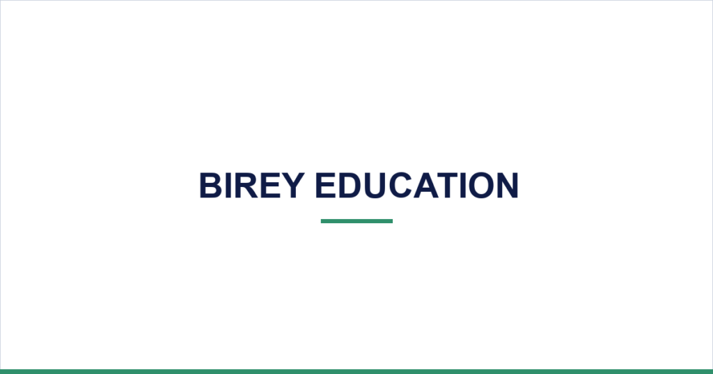 Birey Education — desktop website