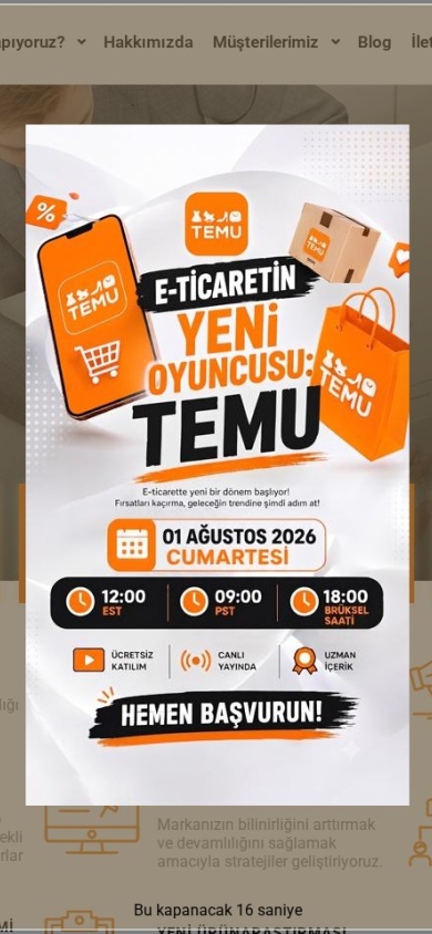 E-Store Boost — mobile website