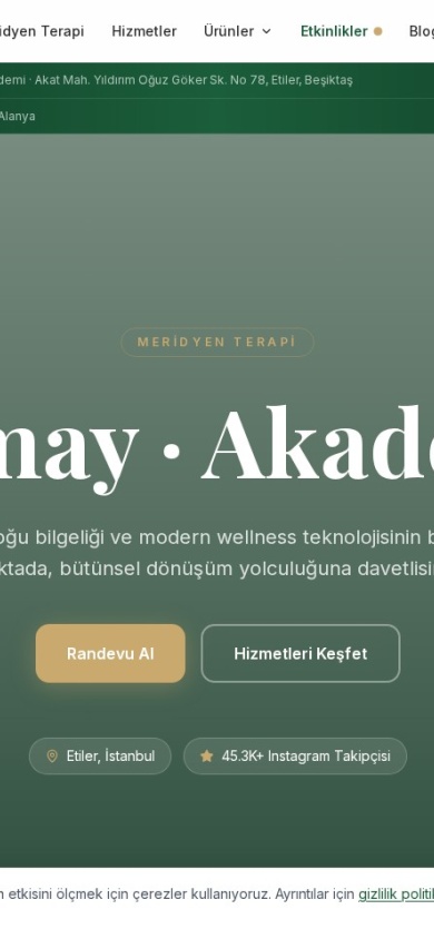Tamay Academy — mobile website