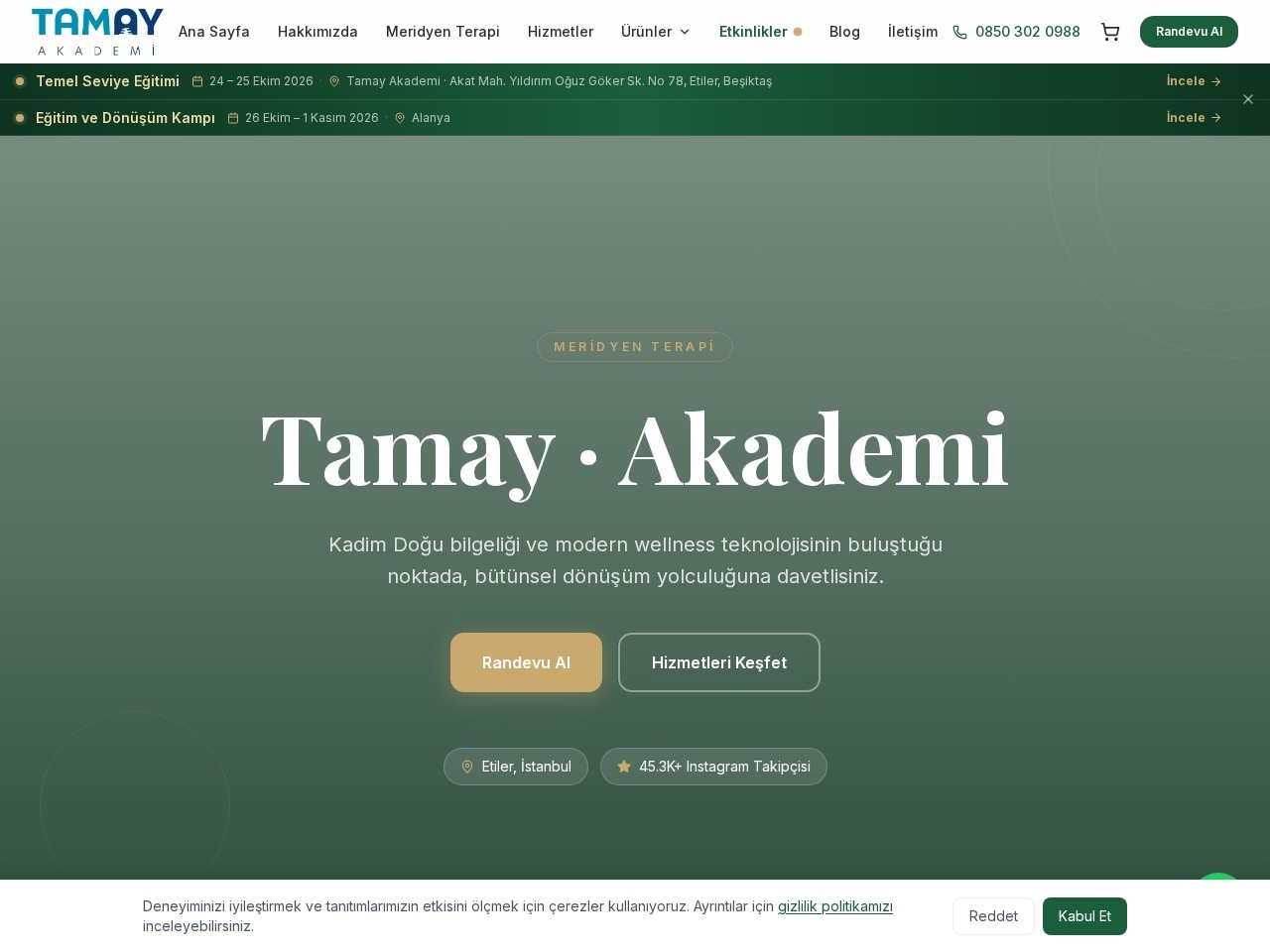 Tamay Academy — Home