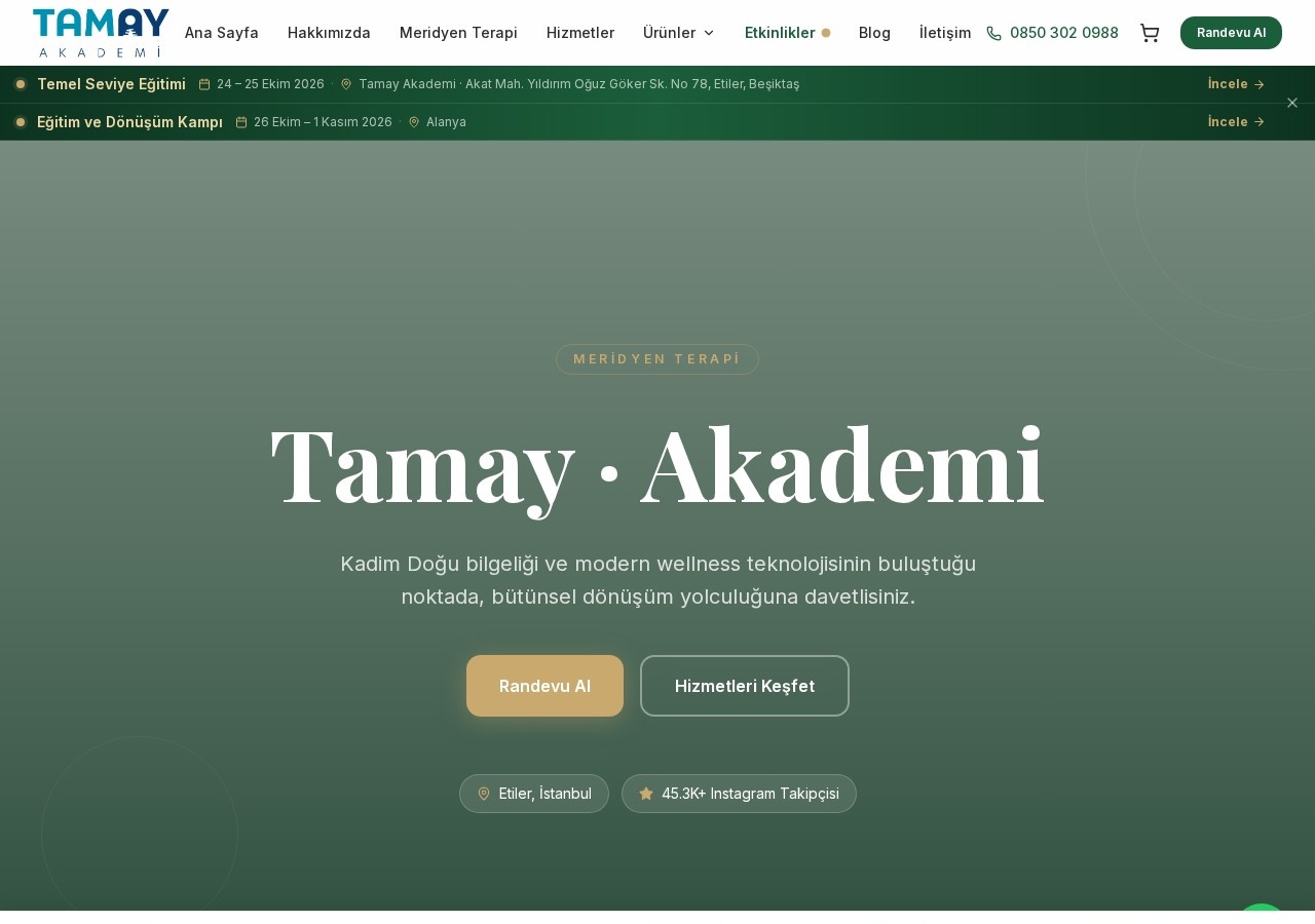 Tamay Academy — desktop website