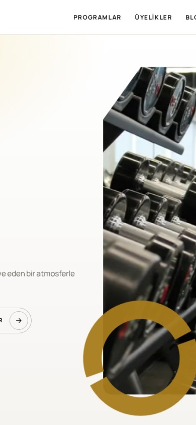 WOU Gym — mobile website