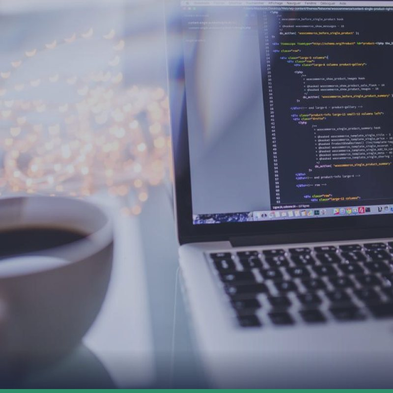 Web Design – Enterprise / Custom